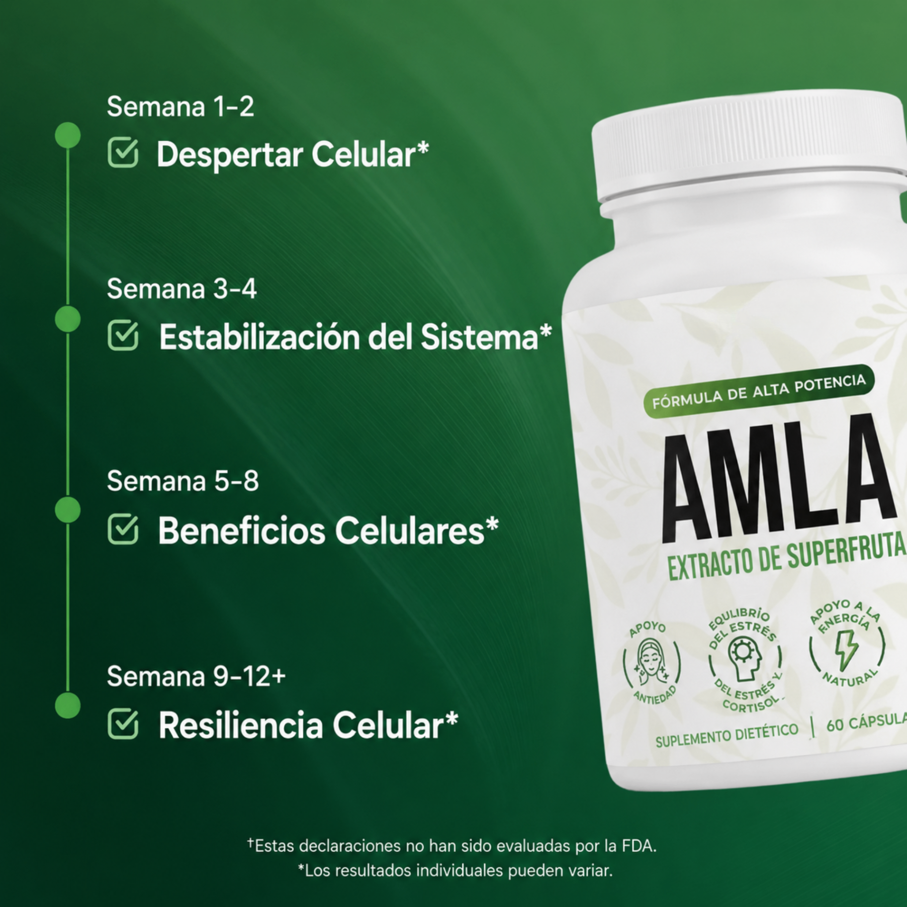 Producto Amla 3